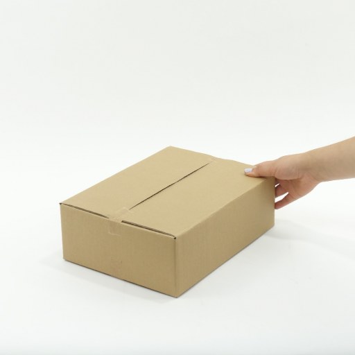 Caja 30x23x10 cm Embalaje para Envíos 20C