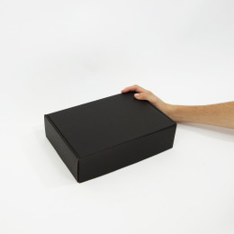Caja Autoarmable 30x20x8 Negra
