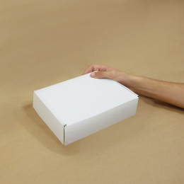Caja Autoarmable 30x20x8 Blanca