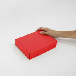 Caja autoarmable 23x16x5 roja