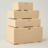 Caja Delivery 24.6x14.2x8.5 cm (2900ml)