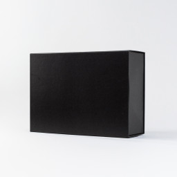 1 3 Imagen Alternativa