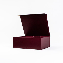 1 2 Imagen Alternativa