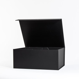 1 2 Imagen Alternativa