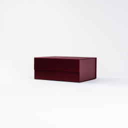 1 1 Imagen Alternativa