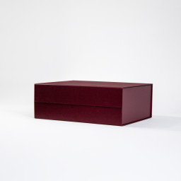 1 1 Imagen Alternativa