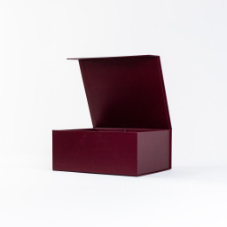 1 2 Imagen Alternativa