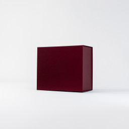 1 3 Imagen Alternativa