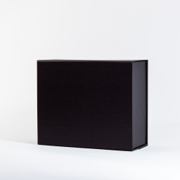 1 3 Imagen Alternativa