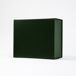 1 3 Imagen Alternativa