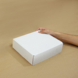 Caja autoarmable 25x20x7 blanca