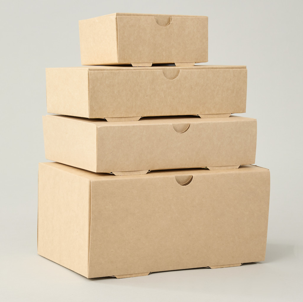 Caja delivery 25x20x9.8 cm (4900ml)