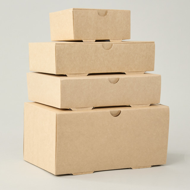 Caja delivery 25x20x9.8 cm (4900ml) Alternativa