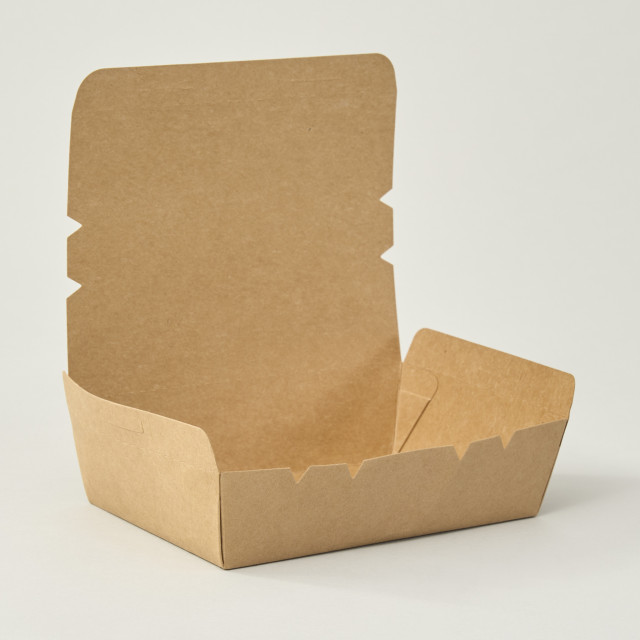 Caja delivery 20x13.8x4.9 cm (1200ml) Alternativa