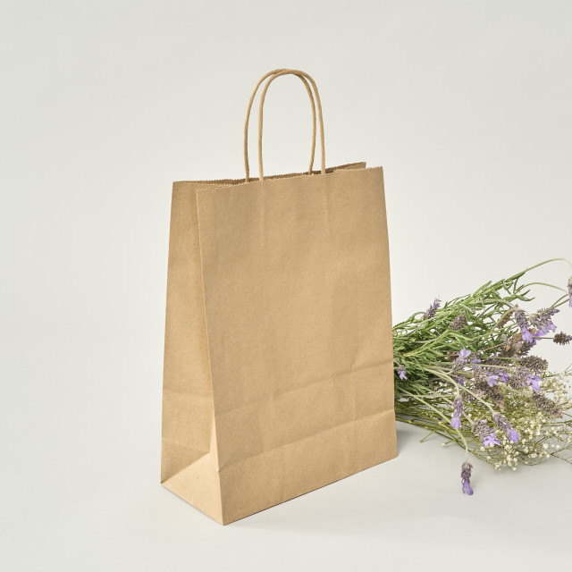 Caja 500 uds Bolsa de papel kraft 30x22x10 (cm) Alternativa