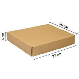 Caja autoarmable 37x30x6 kraft