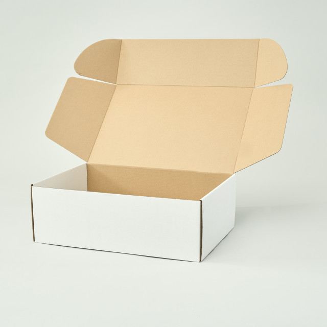 Caja autoarmable 45x30x15 blanca Alternativa