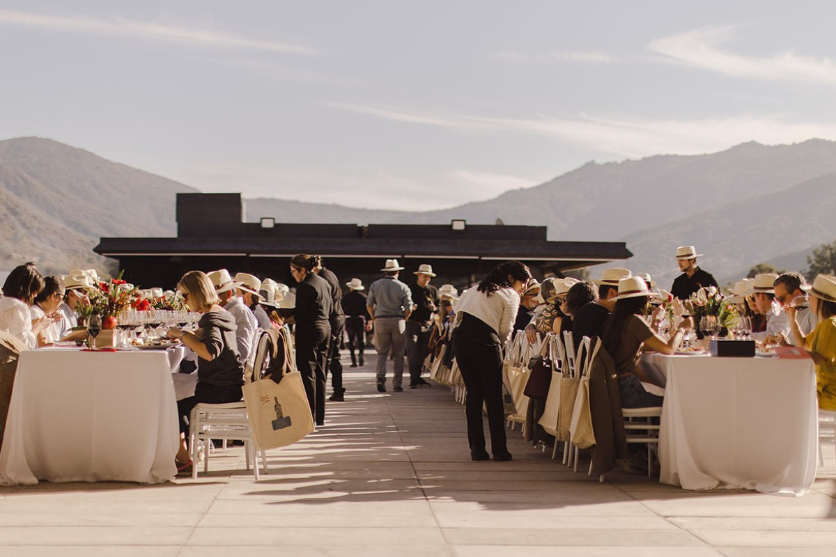 Caso de éxito: Viña VIK y una vendimia donde el packaging también forma parte de la experiencia