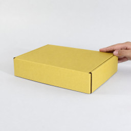 Caja autoarmable 23x16x5 amarilla